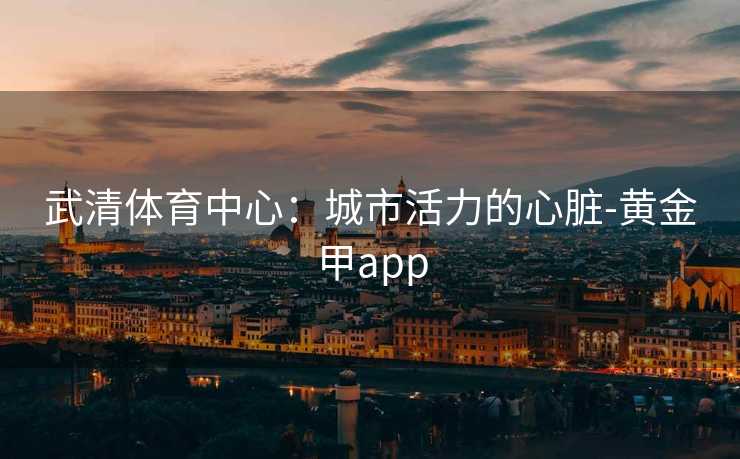 武清体育中心：城市活力的心脏-黄金甲app