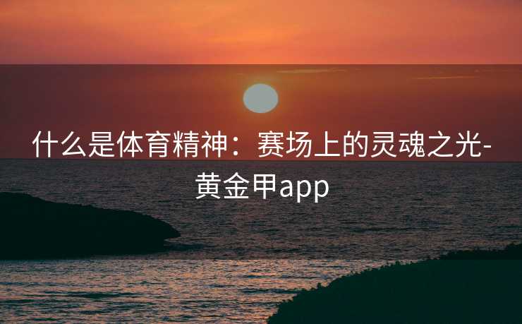 什么是体育精神：赛场上的灵魂之光-黄金甲app
