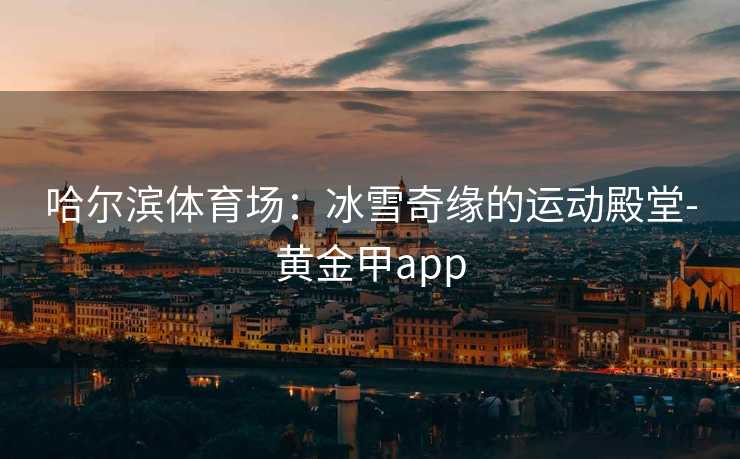 哈尔滨体育场：冰雪奇缘的运动殿堂-黄金甲app