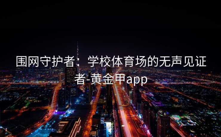 围网守护者：学校体育场的无声见证者-黄金甲app