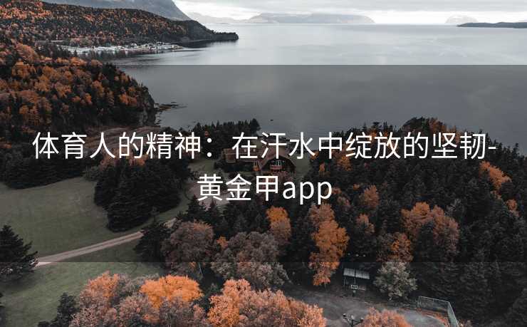 体育人的精神：在汗水中绽放的坚韧-黄金甲app