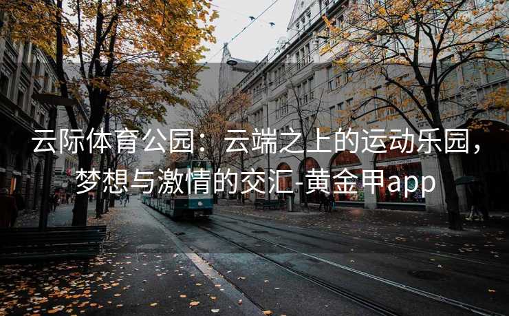 云际体育公园：云端之上的运动乐园，梦想与激情的交汇-黄金甲app