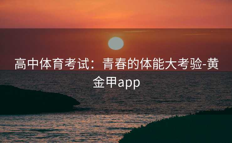 高中体育考试：青春的体能大考验-黄金甲app