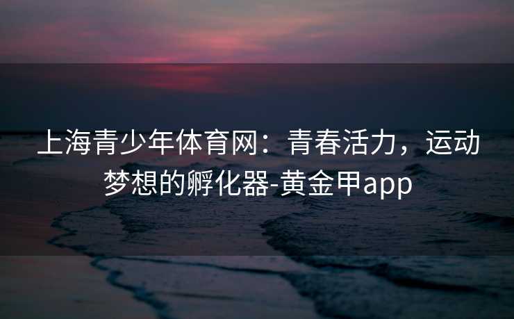 上海青少年体育网：青春活力，运动梦想的孵化器-黄金甲app