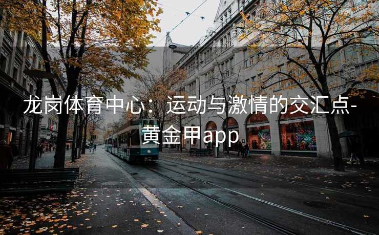 龙岗体育中心：运动与激情的交汇点-黄金甲app