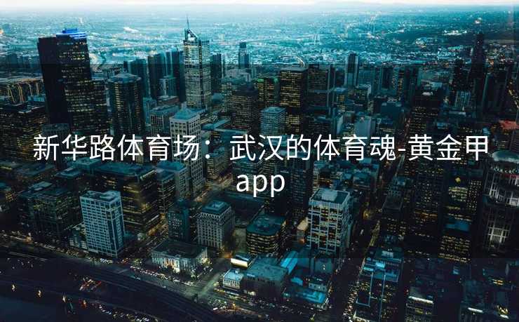 新华路体育场：武汉的体育魂-黄金甲app