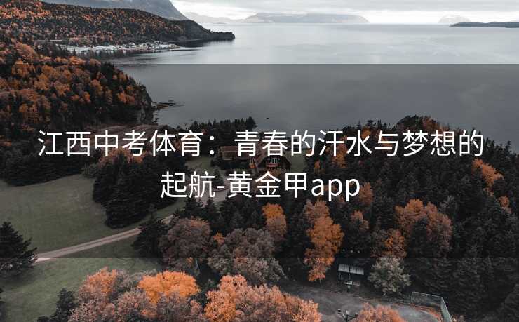 江西中考体育：青春的汗水与梦想的起航-黄金甲app