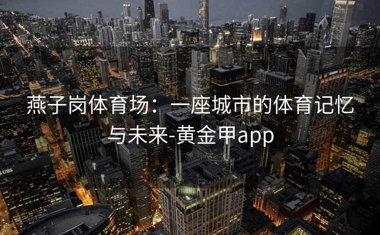 燕子岗体育场：一座城市的体育记忆与未来-黄金甲app