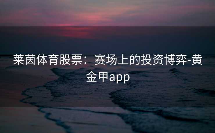 莱茵体育股票：赛场上的投资博弈-黄金甲app