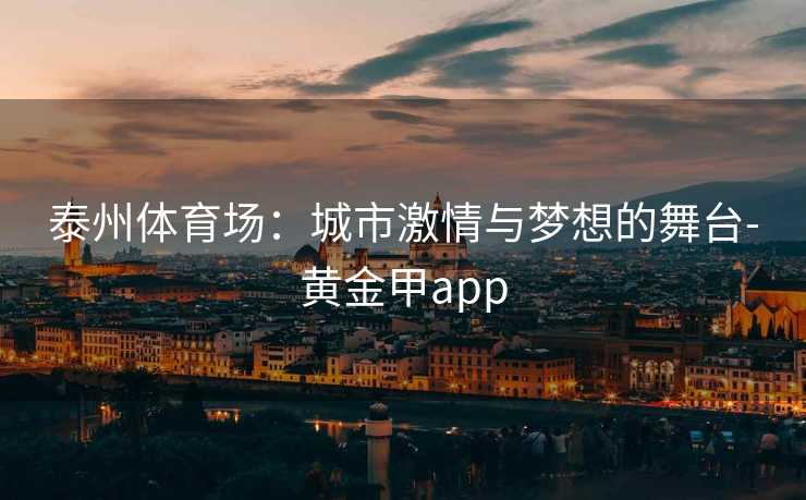 泰州体育场：城市激情与梦想的舞台-黄金甲app