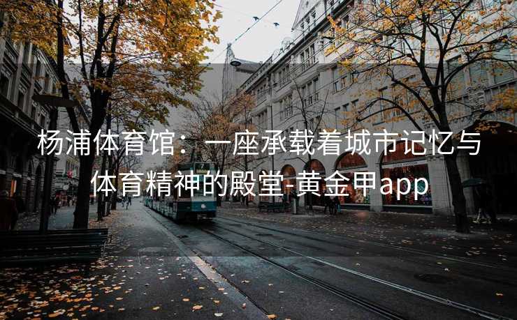 杨浦体育馆：一座承载着城市记忆与体育精神的殿堂-黄金甲app