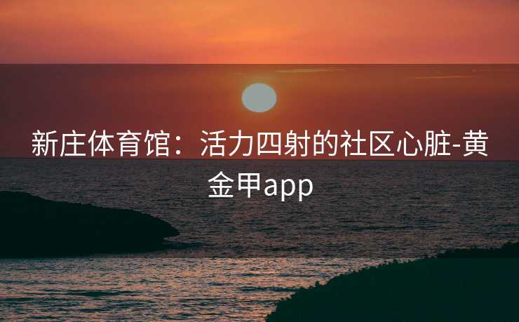 新庄体育馆：活力四射的社区心脏-黄金甲app