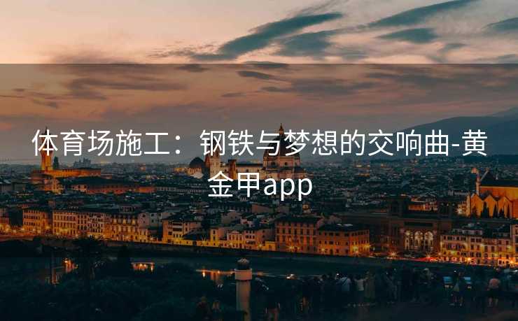 体育场施工：钢铁与梦想的交响曲-黄金甲app