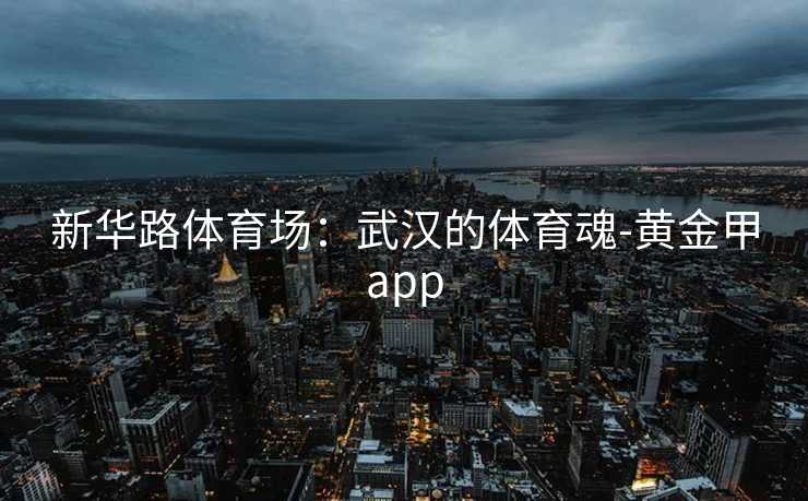 新华路体育场：武汉的体育魂-黄金甲app