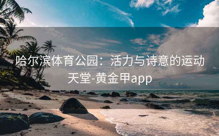 哈尔滨体育公园：活力与诗意的运动天堂-黄金甲app