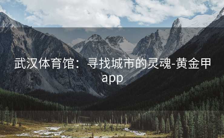 武汉体育馆：寻找城市的灵魂-黄金甲app