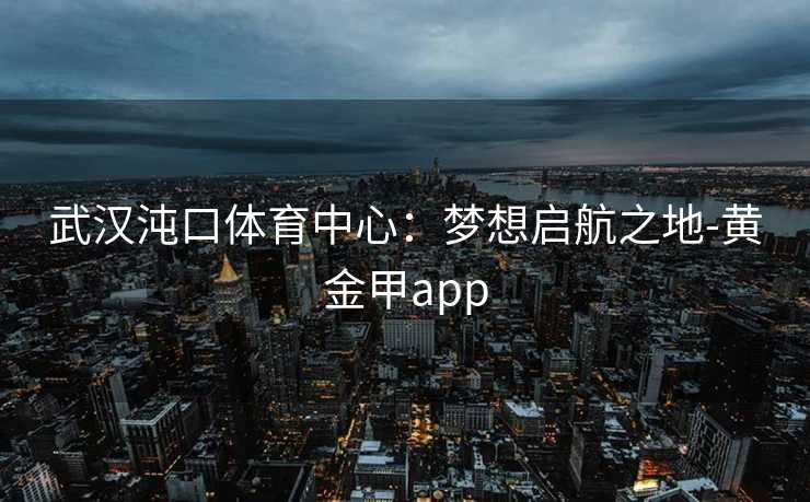 武汉沌口体育中心：梦想启航之地-黄金甲app