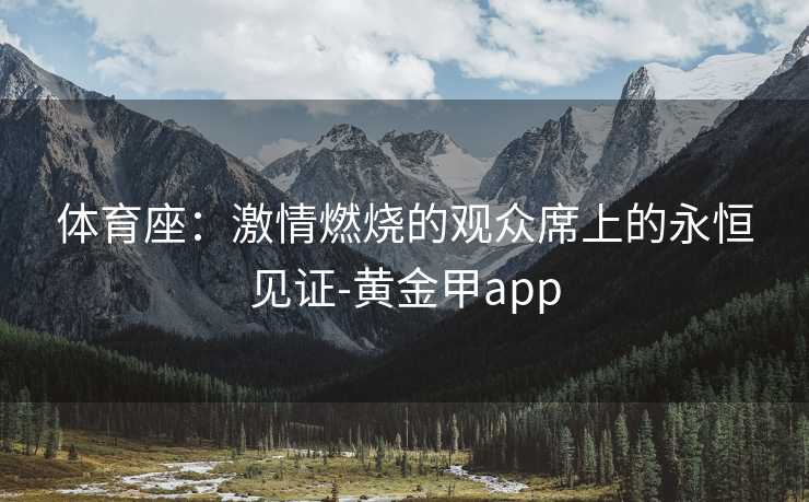 体育座:激情燃烧的观众席上的永恒见证-黄金甲app 体育座:激情燃烧的观众席上的永恒见证-黄金甲app