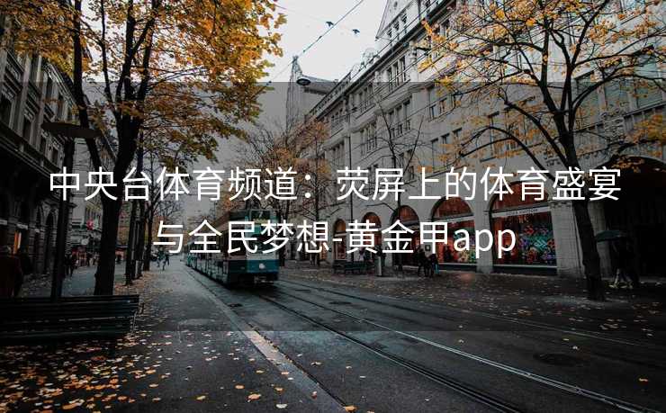 中央台体育频道：荧屏上的体育盛宴与全民梦想-黄金甲app