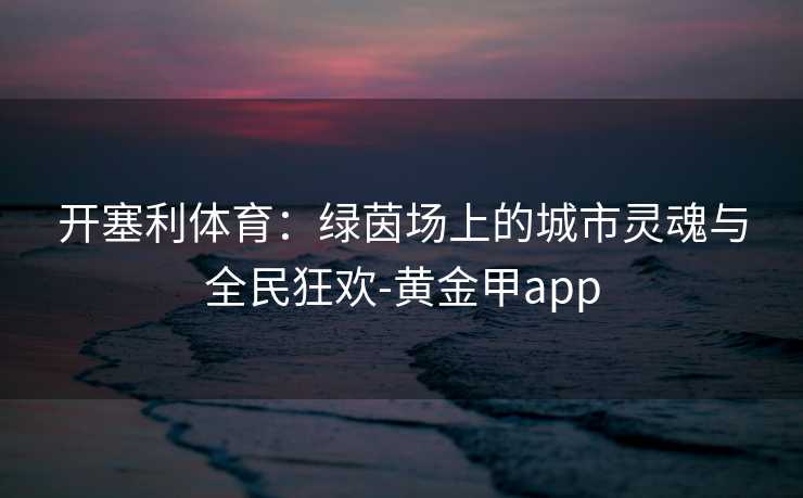 开塞利体育：绿茵场上的城市灵魂与全民狂欢-黄金甲app