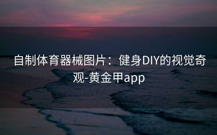 自制体育器械图片：健身DIY的视觉奇观-黄金甲app