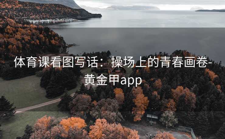 体育课看图写话：操场上的青春画卷-黄金甲app