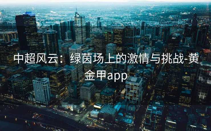 中超风云：绿茵场上的激情与挑战-黄金甲app