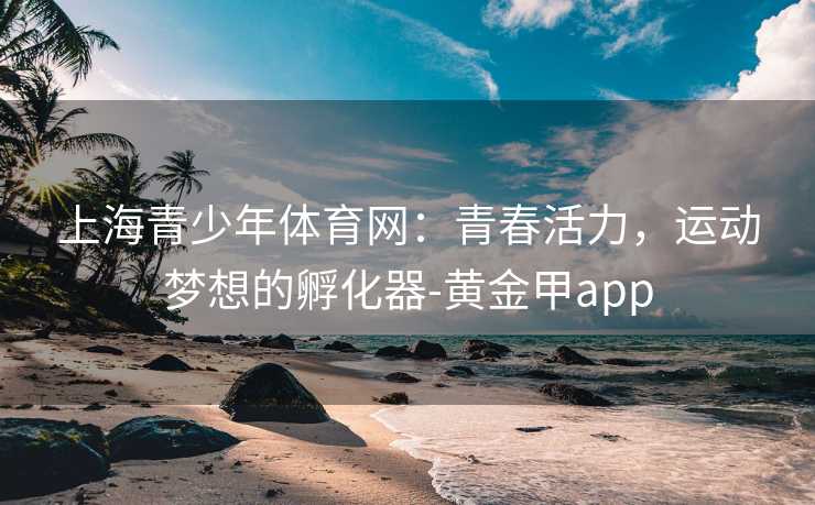上海青少年体育网：青春活力，运动梦想的孵化器-黄金甲app