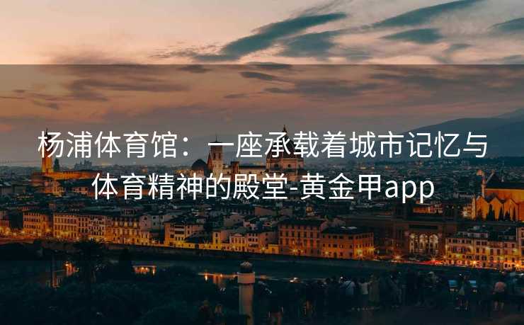 杨浦体育馆：一座承载着城市记忆与体育精神的殿堂-黄金甲app