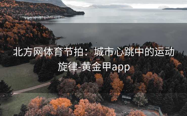北方网体育节拍：城市心跳中的运动旋律-黄金甲app