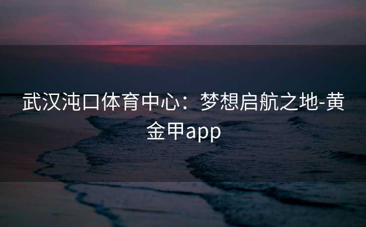 武汉沌口体育中心：梦想启航之地-黄金甲app