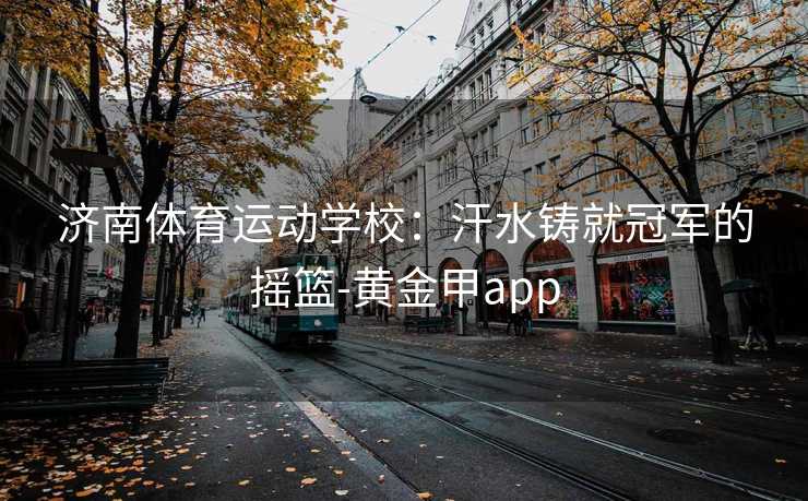 济南体育运动学校：汗水铸就冠军的摇篮-黄金甲app