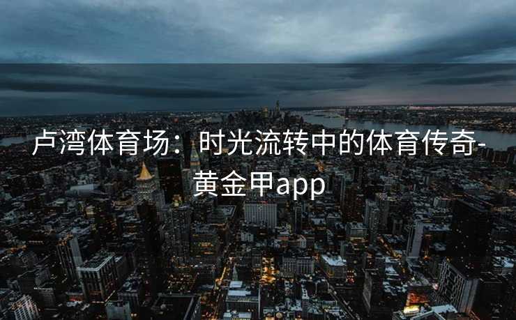 卢湾体育场：时光流转中的体育传奇-黄金甲app