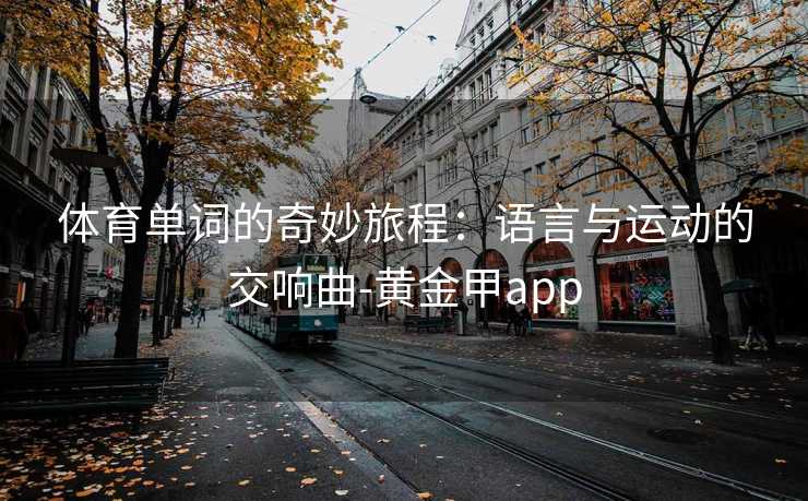 体育单词的奇妙旅程：语言与运动的交响曲-黄金甲app