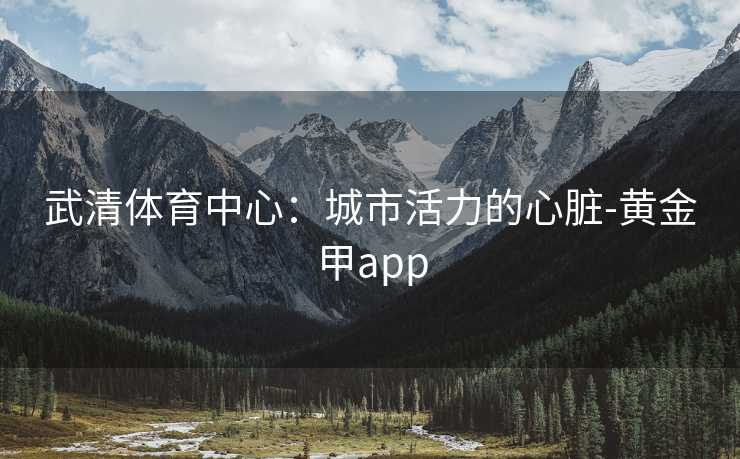 武清体育中心：城市活力的心脏-黄金甲app