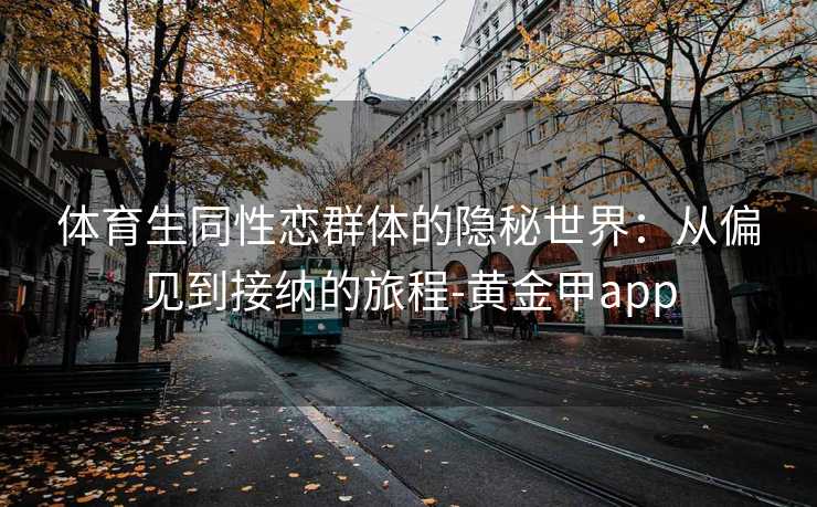 体育生同性恋群体的隐秘世界：从偏见到接纳的旅程-黄金甲app