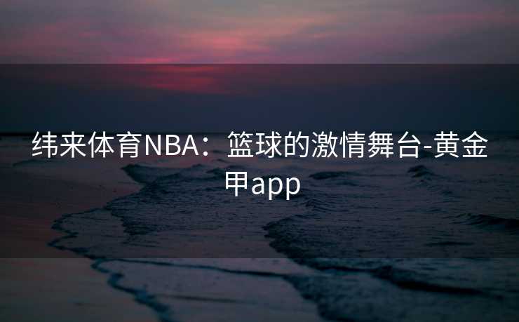 纬来体育NBA：篮球的激情舞台-黄金甲app