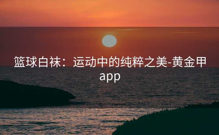 篮球白袜：运动中的纯粹之美-黄金甲app