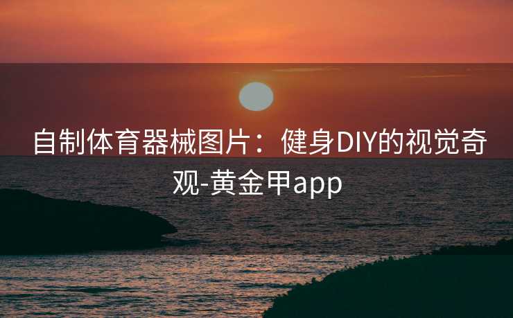 自制体育器械图片：健身DIY的视觉奇观-黄金甲app