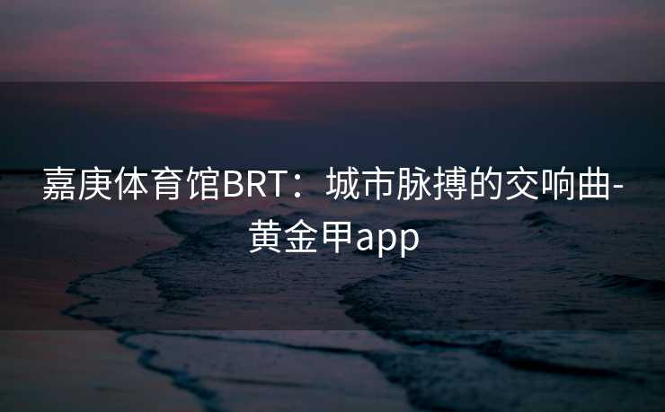 嘉庚体育馆BRT：城市脉搏的交响曲-黄金甲app