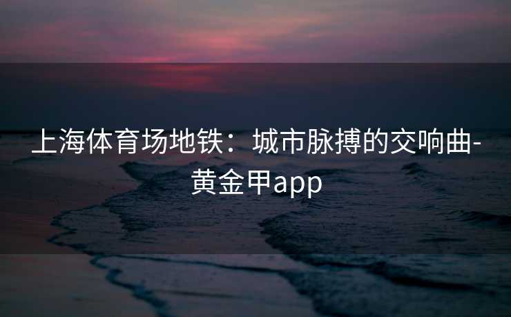 上海体育场地铁：城市脉搏的交响曲-黄金甲app