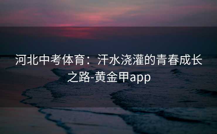 河北中考体育：汗水浇灌的青春成长之路-黄金甲app