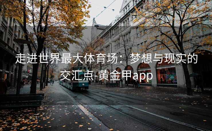 走进世界最大体育场：梦想与现实的交汇点-黄金甲app