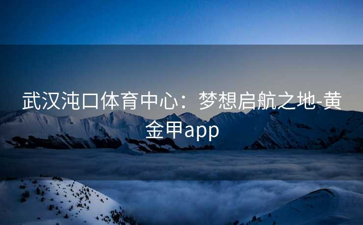 武汉沌口体育中心:梦想启航之地-黄金甲app 武汉沌口体育中心:梦想启航之地-黄金甲app