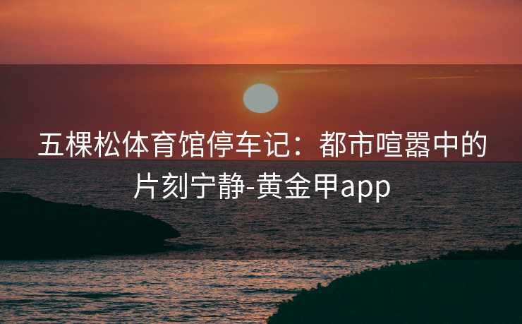 五棵松体育馆停车记：都市喧嚣中的片刻宁静-黄金甲app