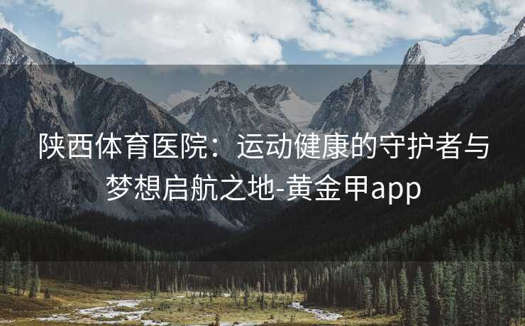 陕西体育医院：运动健康的守护者与梦想启航之地-黄金甲app