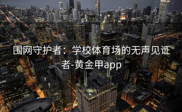 围网守护者：学校体育场的无声见证者-黄金甲app