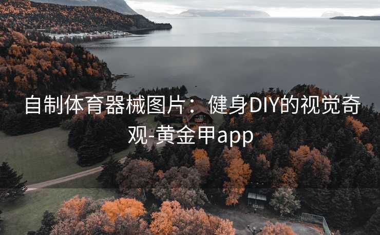 自制体育器械图片：健身DIY的视觉奇观-黄金甲app