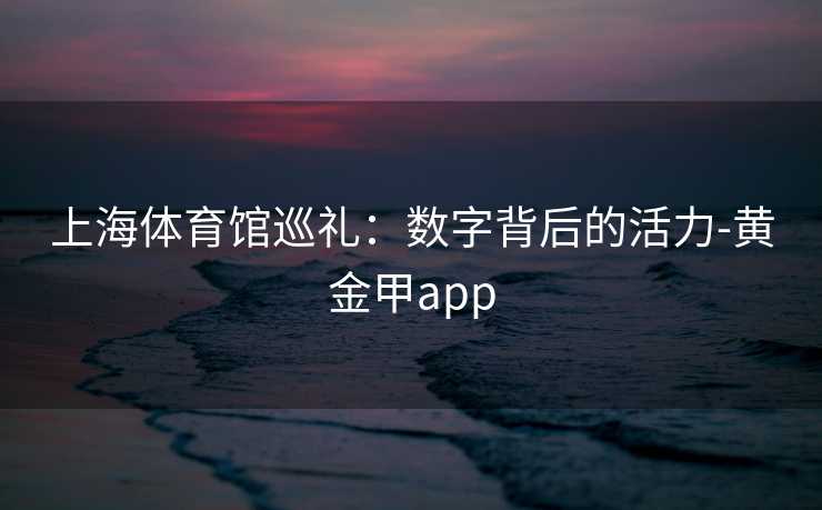 上海体育馆巡礼：数字背后的活力-黄金甲app
