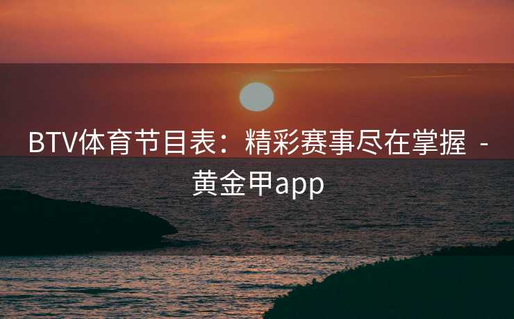BTV体育节目表：精彩赛事尽在掌握  -黄金甲app
